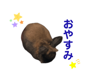 842119102