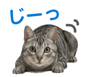 842119277