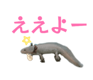 842119346