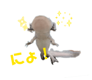 842119348