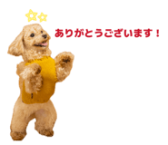 842119737