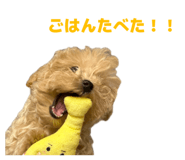 842119744