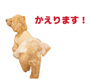 842119745