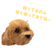 842119746