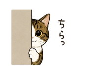 842120173
