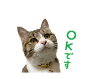 842120184