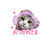 842120185