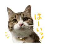 842120186