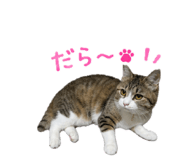 842120188