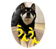 842120222