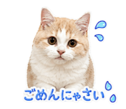842120230