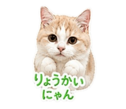 842120231