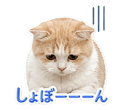 842120244