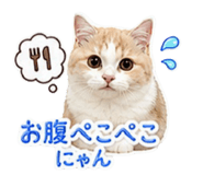 842120248