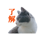 842120489