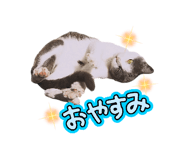 842120496