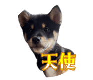 842120508