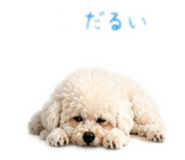 842120611