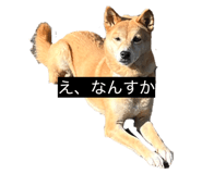 842120692
