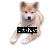 842120694