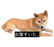 842120695