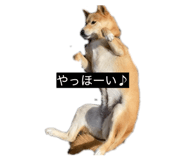 842120696