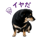 842120799