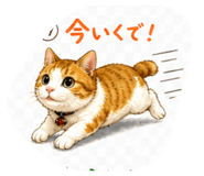 842121225