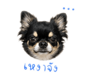 842128869