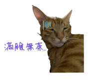 842131067