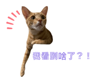 842131070