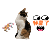 842131088