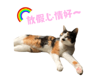 842131089