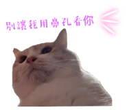 842131090