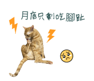 842131091