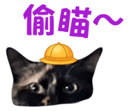 842131097