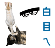 842131101