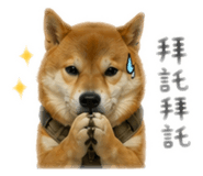 842131764