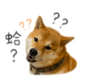 842131765