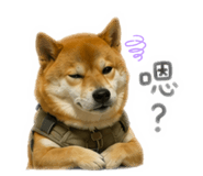 842131766