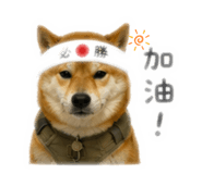 842131770