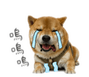 842131773