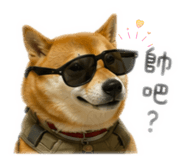 842131776