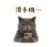 842131813