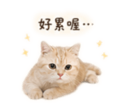 842131814