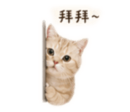 842131820