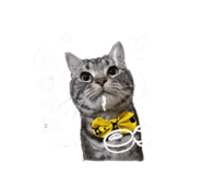 842132318