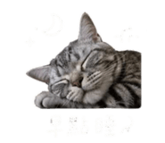 842132319
