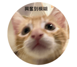 842132659