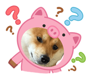 842133254